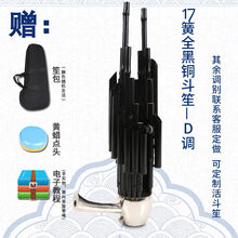 天津王氏笙乐器王氏民乐14簧方笙17簧21簧圆笙扩音笙初学专业演奏 17簧全黑铜斗笙-D调