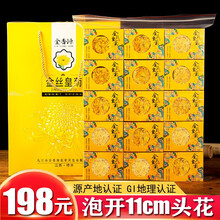 金香源 金丝皇菊 精选头期菊花茶一朵一杯茶叶花草茶大朵金丝黄菊独立包装纸盒装 头期大花50朵（泡开11厘米）