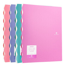 金得利 莫兰迪系列时尚创意单强力夹 长押夹 A4文件夹 资料夹 学生试卷收纳夹 多色随机 AF813