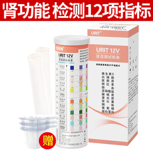 优利特尿目测试纸微量白蛋白尿常规12项 家用检测尿蛋白酮体肾炎肾损伤糖尿病尿微试纸 尿微量白蛋白试纸 【1盒25条】尿12项试纸+25尿杯+25尿管