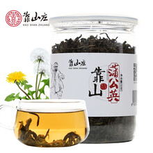 ℂ℘靠山庄 蒲公英茶 长白山浦公英根茶叶婆婆丁 纯片宜搭特级玉兰菊苣带根干的发酵红茶 蒲公英叶茶60g