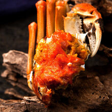 鲜美惊 【全母全公大蟹】大闸蟹鲜活现货螃蟹0.8-4.0两礼盒 (公4.0 母3.0)8只装