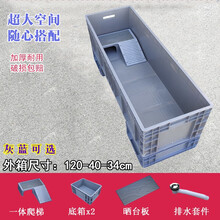 易逗 塑料乌龟箱龟缸造景生态大型专用养殖箱养龟缸带晒台水族箱水陆缸 底排1200*400*340mm 蓝 灰