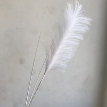 月娥新品把束仿真白芦苇草狗尾干花假花五谷杂粮水生绿植落地装饰摆件 单头白色