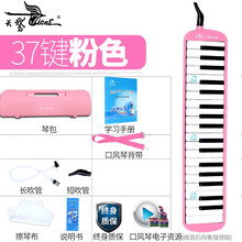 天鹅口风琴37键学生用初学者儿童幼儿嘴吹管课堂教专业演奏级乐器 粉色硬塑盒+教材书全套配件