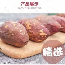 【粉糯香甜】四川现挖新鲜白心红薯沙地番薯地瓜白薯甜蜜薯板栗薯 【精选中果】5斤