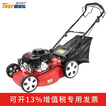 道什威尔 草坪机自营GXV160本田动力20寸大马力物业操场高尔夫球场除草机手推自走式四冲汽油割草机 道什威尔自走式草坪机【有集草箱】