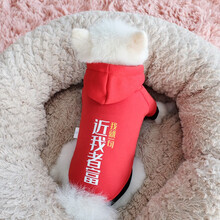 InnoPet狗狗衣服秋冬装带帽两脚猫咪泰迪比熊博美小型犬幼犬法斗柯基小狗宠物秋冬 （秋冬）带帽大红近我者富 XL(建议11-13斤背长40胸围55)