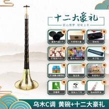 宏艺凤鸣唢呐乐器全套乌木木演奏考级d调初学者入门喇叭 乌木C 调唢呐黄碗+12大