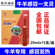 兽药双黄连口服液兽用牛羊专用发热发烧咳嗽清热解毒流鼻涕