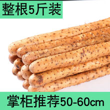 盛源康正宗铁棍山药粉糯5斤/3斤/1斤小白嘴山药焦作淮山药新鲜蔬菜河南 【掌柜】5斤铁棍山药