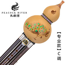孔雀河（PEACOCK RIVER）葫芦丝成人自学初学专业C降B调小学生入门G调F调D调云南紫竹 【专业款】【孔雀公主】C调+礼包