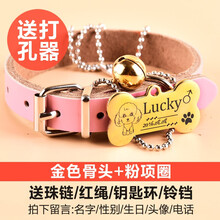 SLPC 狗牌项圈定制小型犬刻字挂牌身份牌猫牌泰迪宠物狗狗铃铛饰品大型犬狗项链 金色骨头+粉色皮项圈 XS（适合3-8斤左右宠物）