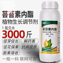 农药芸苔素内酯植物生长调节剂草莓柑橘增产保花保果农资店专用叶面肥 10g