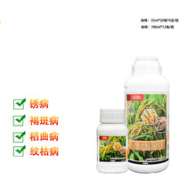 杜邦法砣 啶氧菌酯·丙环唑褐斑病锈病稻曲病进口农药剂700ml 700ml