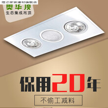 电光浴霸集成吊顶防爆灯泡灯暖换气扇排气扇二合一浴霸 2灯暖+换气二合一