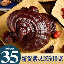 栢晟 长白山整朵灵芝东北灵芝紫灵芝泡酒料林芝泡水煮水一斤8-10朵 紫灵芝500g