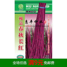 豆角种子长豇豆籽有架无架无鼠尾四季豆院阳台大田播种高产蔬菜孑 春秋长红原装30克