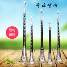 唢呐乐器优质乌木唢呐初学者成人唢呐全套民族乐器抖音同款 乌木降E调+九重礼品