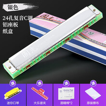 国光重音C调口琴 专业演奏级初学者中老年人成人学生儿童复音入门吹奏乐器 24孔铝座板复音C调 银色+送好礼