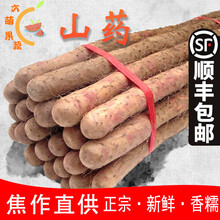 顺丰速发河南焦作温县铁棍山药正宗怀山药铁杆山药新鲜蔬菜 焦作怀山药精品 5斤 60-80长