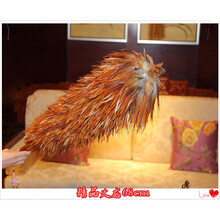掸坊纯手工高端真鸡毛掸子家用不掉毛毯子除尘扫灰加厚禅子 精品加密火龙68cm下翻 标准实木手柄