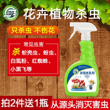 坤宁王花卉杀虫剂植物盆栽小飞虫土壤杀虫花药花草蚜虫杀虫喷剂红蜘蛛蚧壳虫介壳虫小黑飞虫月季家用除虫蔬菜
