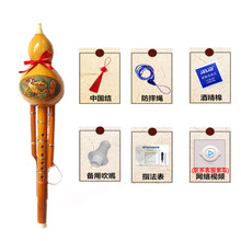 天然凤尾竹双音葫芦丝c调中小学生儿童降b调成人初学者七孔葫芦丝 凤尾竹C调+【无盒】