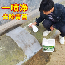 青苔除剂青苔清除剂水泥地面除青苔专用青苔净青苔克星墙面苔藓除青苔剂奇敬