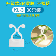 爬藤固定器绿萝爬墙绿植固定器定型藤蔓墙上攀爬固定自粘式架无痕挂钩神器 绿萝专用30个装已省14元，80%客户选择
