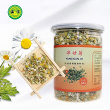 滋宁 洋甘菊 菊花茶50克/瓶装 养生花草茶 可带枸杞子 柠檬 蜂蜜 泡水喝