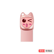 探行者 U盘迷你卡通创意可爱礼品小巧优盘防水便捷携带车载电脑两用 玫瑰金-萌妹 32GB
