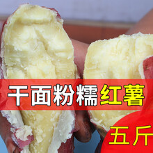 5斤/10斤 白心红薯山西洪洞红薯山芋干面粉春番薯甜板栗子香红皮黄白心地瓜白薯红苕 4500g