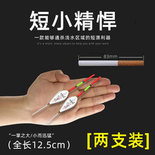 富贵竹浅水鱼漂纳米浅水短漂醒目加粗钓溪流冰钓虾钓鲫鱼鲤鱼抗风浪超灵敏 GH856（2号）吃铅约为2.7克 两支装