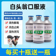 白头翁口服液兽用兽药止痢白痢大肠杆菌产蛋鸡仔猪拉稀牛羊腹泻 250ml一瓶 国标正品兽药 40瓶250ml