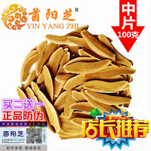茵阳芝 官网茵阳灵芝销售中心 【中片】100克野外生长茵阳芝防伪验证 中片500克