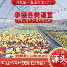 鲸榜智能玻璃连栋联体温室PC阳光板电机自动遮阳轨道蔬菜草莓韭菜大棚养殖种植花卉钢管热镀锌骨架配件设备 申经理热线13501309881