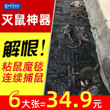 科凌虫控 灭鼠魔毯 强力老鼠贴灭鼠毯 老鼠捕捉神器 灭鼠器家用 强力粘鼠120*28cm 6张装 灭鼠魔毯*6张装
