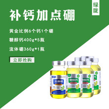 农药绿陇农用水溶钙肥草莓果树螯合钙防裂果高吸收 糖醇钙叶面肥400g 补钙黄金组合(钙*5瓶+硼1瓶)