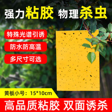 科凌虫控双面粘虫板大号黄板诱捕虫板纸贴黄色沾害虫蓟马黑虫灭小飞虫果蝇粘板大棚茶果园 小号黄板 20张