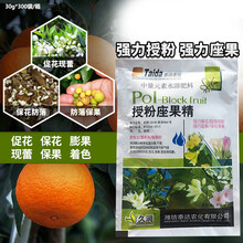 授粉坐果精点花药保花保果防落素座果精华液番茄辣椒枣授粉药 30g*12包授粉坐果精