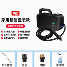 高温高压蒸汽清洁机家用厨房油烟机消毒家电清洗一体机空调清洗机 B款-2800W-家用基础版直喷-黑