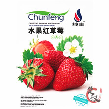 一播大地 家庭阳台盆栽草莓苗草莓种子红草莓种子 奶油白草莓种子四季播 蔬菜种子 奶油水果菜籽 红草莓种子原装