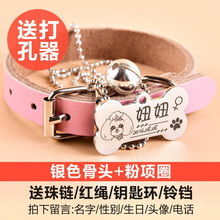 SLPC 狗牌项圈定制小型犬刻字挂牌身份牌猫牌泰迪宠物狗狗铃铛饰品大型犬狗项链 银色骨头+粉色皮项圈 XS（适合3-8斤左右宠物）