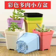 加厚彩色八角方形树脂小花盆 办公室阳台室内桌面多肉植物育苗盆肉肉绿植盆栽专用塑料种植盆 绿色大号-口径10cm