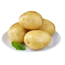 甘肃土豆新鲜5斤/9斤定西小土豆蔬菜黄心粉面大洋芋马铃薯 9斤