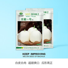 中科茂华 瓜果蔬菜种子 京蜜一号白皮白肉甜瓜种子 皮薄肉厚白瓤 瓜型美观 高产抗病 超甜酥脆香瓜種子 京蜜一号 甜瓜种子600粒/袋