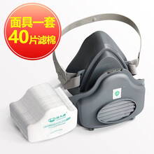 保为康 KN95防尘面具 3700防尘口罩工业粉尘头戴式男女 装修打磨煤矿水泥面粉劳保面罩 面具1套+40片滤棉