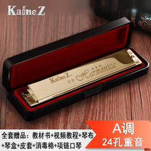 Kaine.Z凯恩上海牌口琴k总厂24孔重音口琴演奏级C/A/D/E/F/G/降b12调可选 重音A