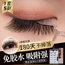 GULGULA抖音同款磁力假睫毛磁铁磁性磁石眼线液嫁接睫毛套装自然款初学者个人浓密磨尖学生种植免胶水 磁石睫毛五对装 一套